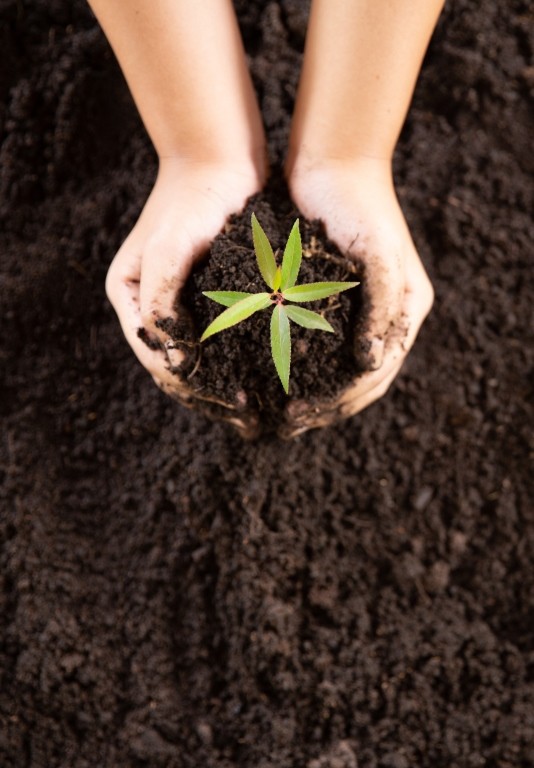 desmonte de rocha com responsabilidade ambiental